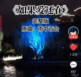 ​林忆莲最好听的十首歌(一曲《如果爱还在》，林忆莲唱出了沧桑，雨中百合唱尽了