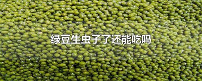 ​绿豆生虫子了还可以吃吗? 绿豆生虫子了还能不能吃