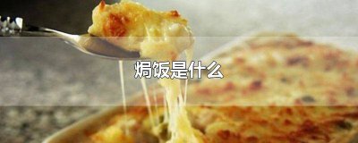 ​做焗饭的芝士是什么芝士 芝士焗饭百度百科