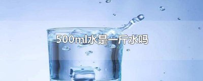 ​500ml水大概是多少斤 500ml等于多少斤的水