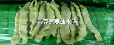 ​芸豆要焯水么 芸豆要焯水吗?