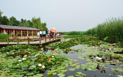 铁岭莲花湖国家湿地公园，美丽动人的地方！